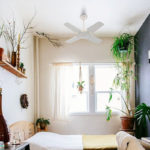 Ceiling Fan