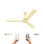 Money Saver Fan