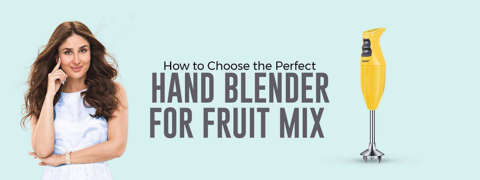 Difference between a Hand Blender and a Hand Mixer – Acekool