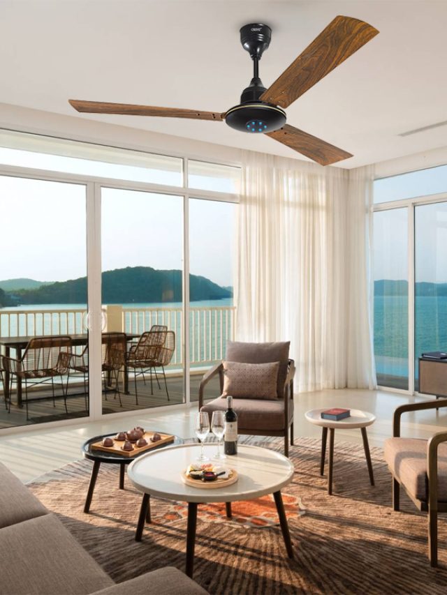 BLDC-Ceiling-Fan-–-Moneysaver-Plus-–-28W-–-Wenge-Wood-With-Remote-App-Remote-3 (4)