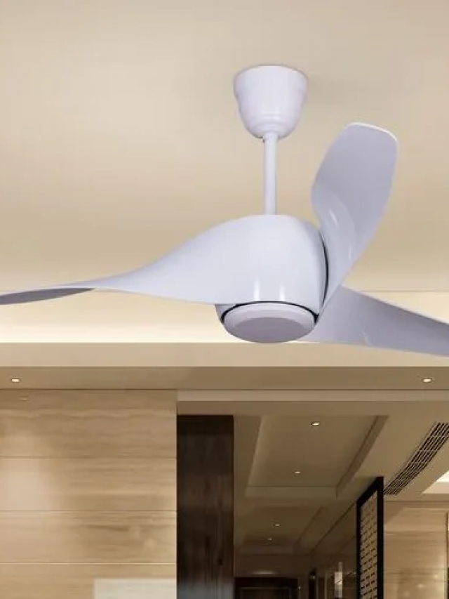 energy-efficient-bldc-ceiling-fan-for-residence-1-year-warranty-730
